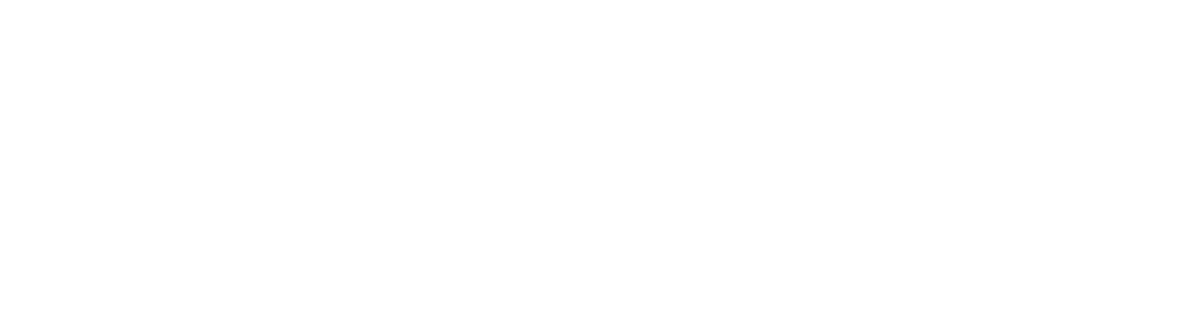 värnamo automatsvarvning logotyp vit